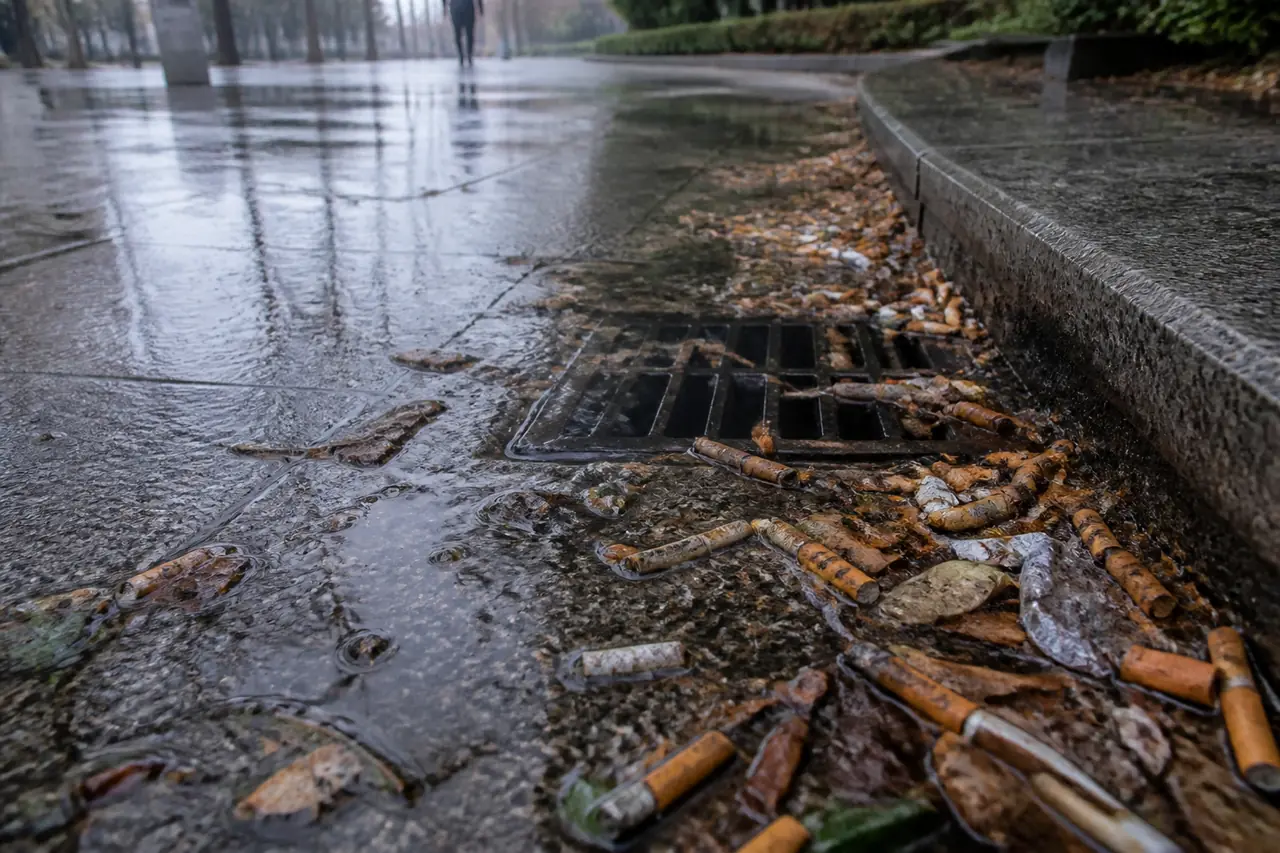 雨后的城市排水口旁散落大量烟头，污水正将烟头残留物带入排水系统
